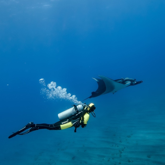 Drift Diver