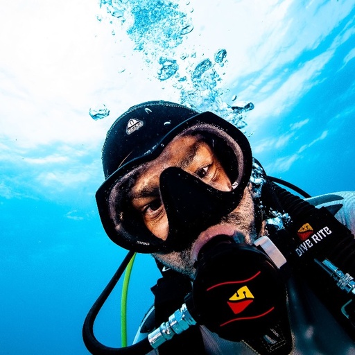 [C015-BUS-RESC] Search and Recovery